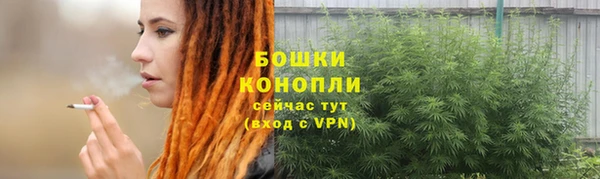 мдпв Богородицк