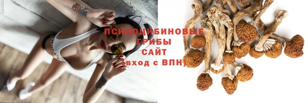 ALPHA PVP Богданович