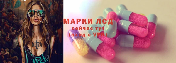 мдпв Богородицк