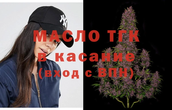 мдпв Богородицк