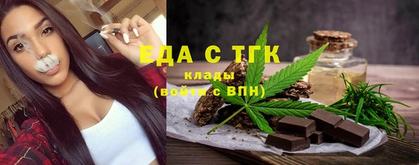 мдпв Богородицк