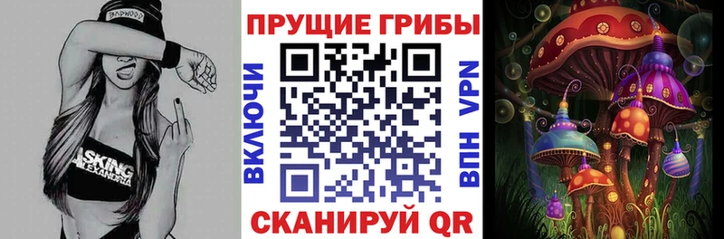 Псилоцибиновые грибы мухоморы  где купить наркоту  маркетплейс официальный сайт  Кущёвская 